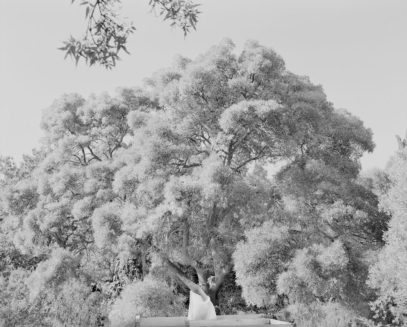 Пигментная цифровая печать на бумаге Hahnemuhle William Turner 310 г/м2
110 × 135 см
2/5
2019