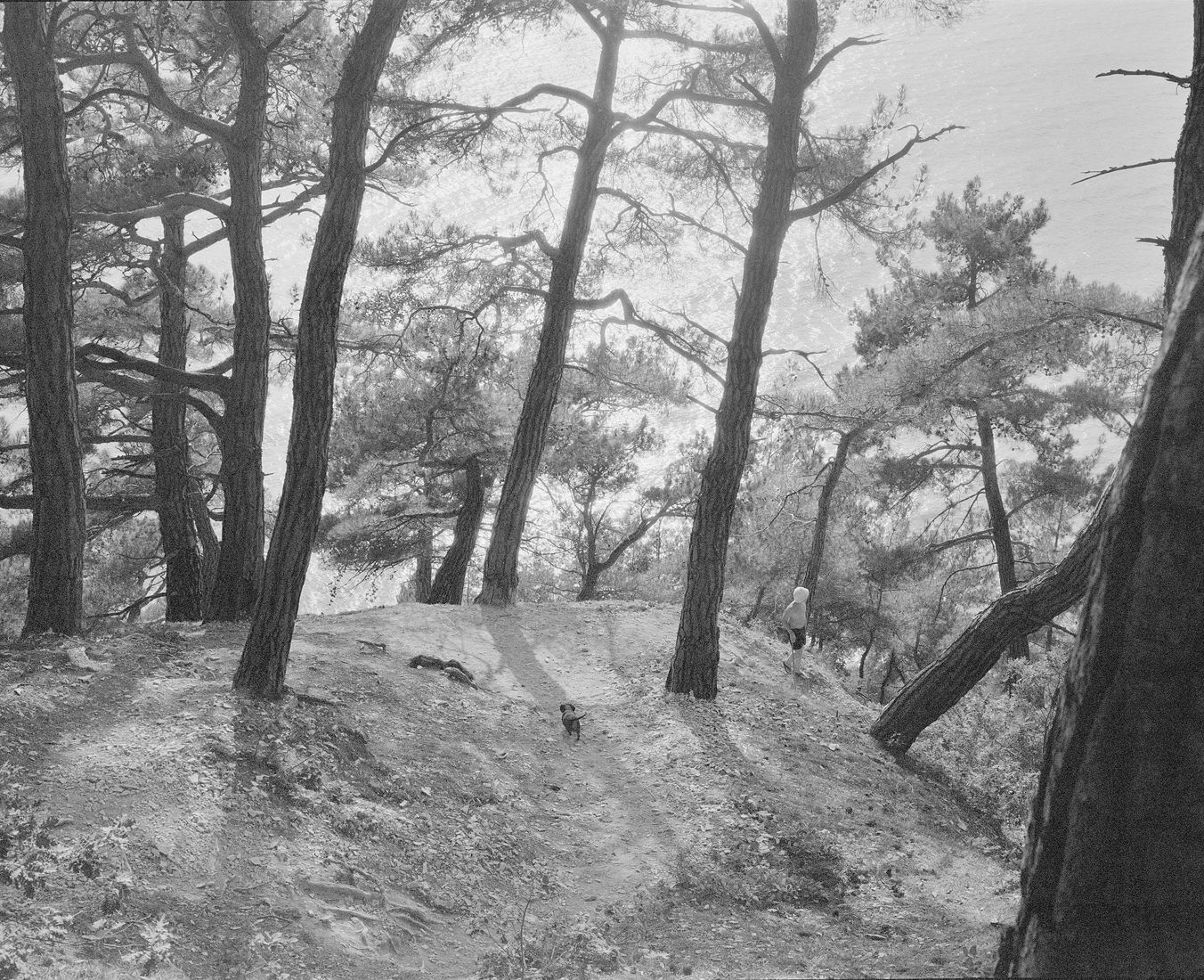 Пигментная цифровая печать на бумаге Hahnemuhle William Turner 310 г/м2
50 × 62 см
2/5
2016